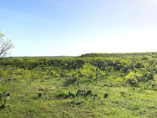 333ACRES County Road 414, Throckmorton TX, 76483 land for sale