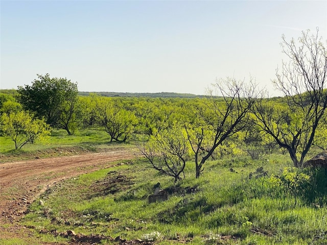 Listing photo 2 for 333ACRES County Road 414, Throckmorton TX 76483