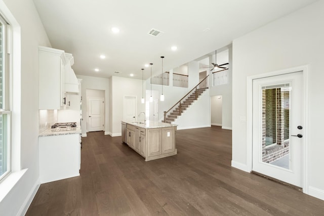 kitchen with baseboards, visible vents, dark wood-style floors, light stone counters, and a sink