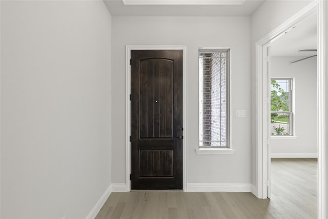 entrance foyer featuring light hardwood / wood-style flooring