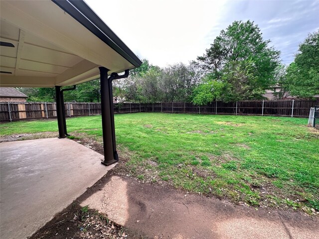 view of yard featuring a patio