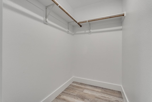 spacious closet featuring light hardwood / wood-style flooring