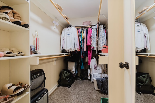 walk in closet featuring light carpet