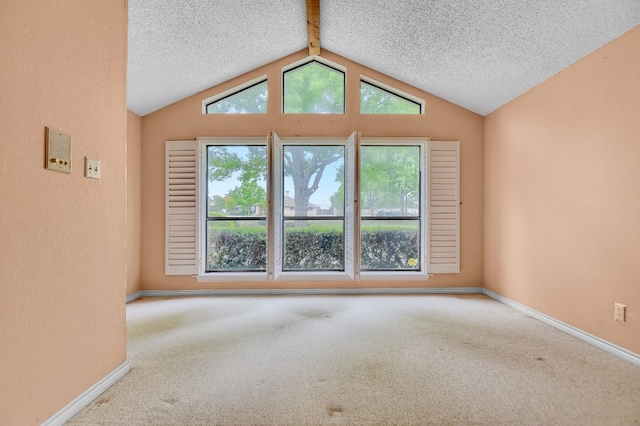 empty room featuring a textured ceiling and carpet flooring