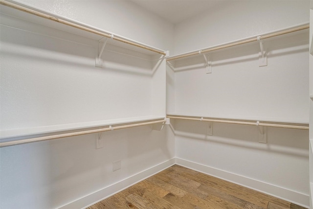 spacious closet featuring wood finished floors