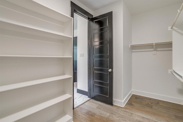 spacious closet featuring wood finished floors