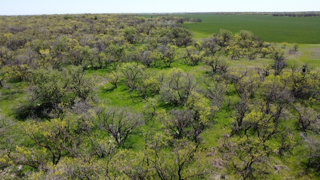 Listing photo 3 for 0000 Fm 923, Throckmorton TX 79606