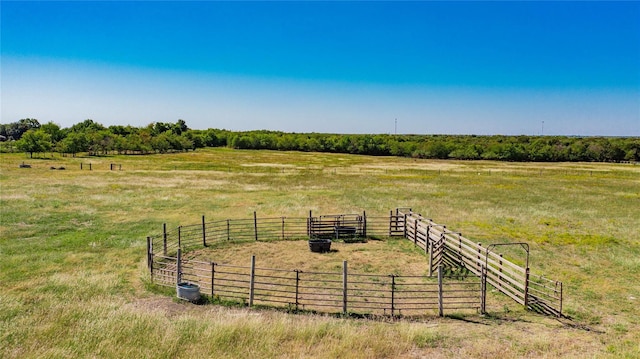 view of yard featuring a rural view