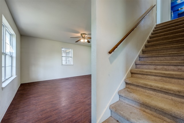 stairway with hardwood / wood-style floors and ceiling fan