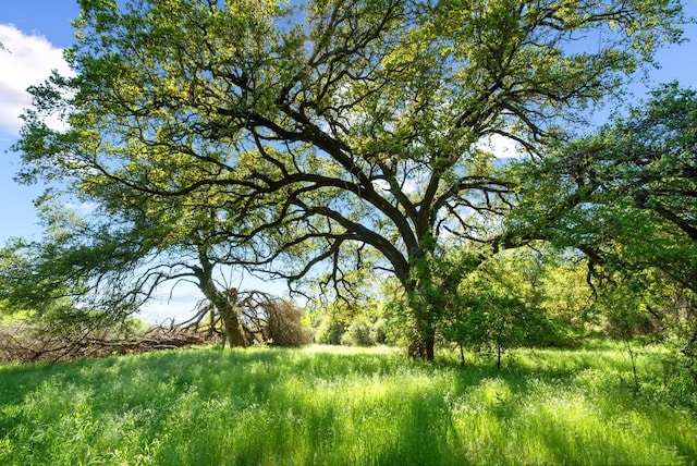 Listing photo 3 for 701 Brannon Bridge Cir, Millsap TX 76066