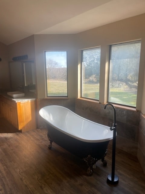 bathroom featuring vanity, hardwood / wood-style flooring, a healthy amount of sunlight, and a bathtub