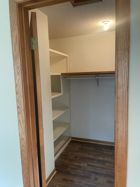 spacious closet with dark hardwood / wood-style flooring