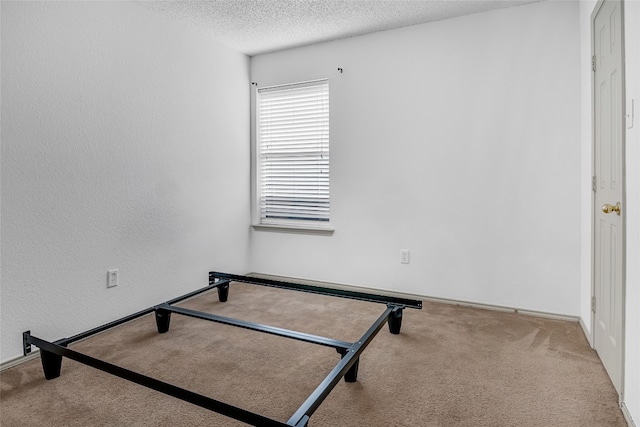 empty room with light colored carpet and a textured ceiling