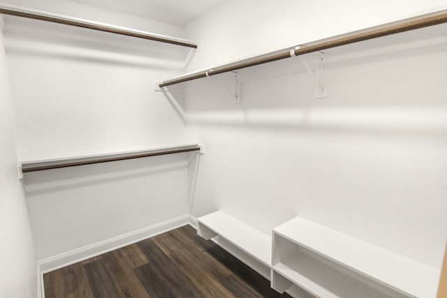 spacious closet featuring dark hardwood / wood-style flooring