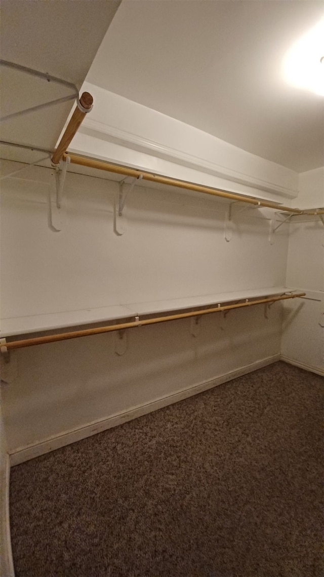 spacious closet with carpet