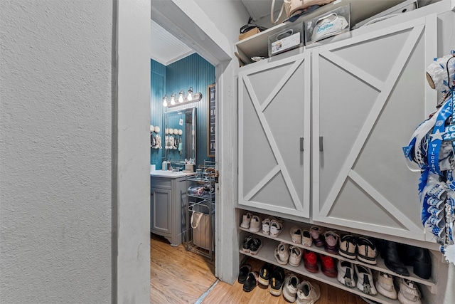 spacious closet with light hardwood / wood-style flooring