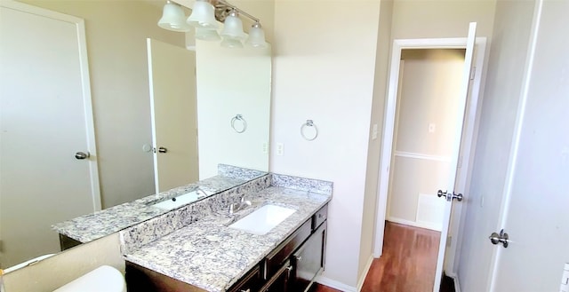 bathroom featuring hardwood / wood-style flooring and oversized vanity