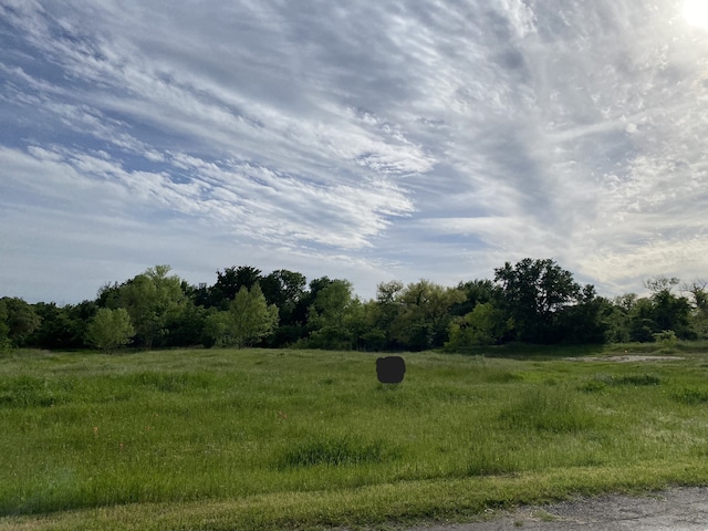 235 Ruby Dr, Brock TX, 76087 land for sale