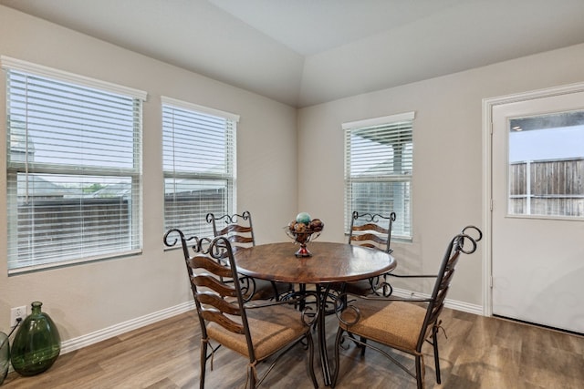 dining space featuring plenty of natural light and hardwood / wood-style floors