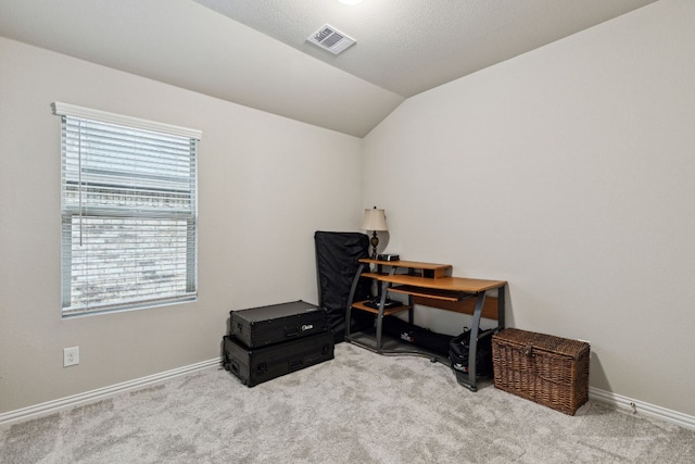 carpeted office with vaulted ceiling