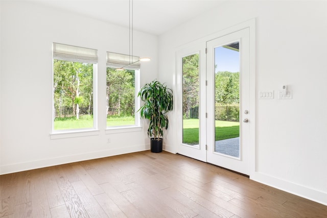 doorway to outside featuring plenty of natural light and dark hardwood / wood-style flooring