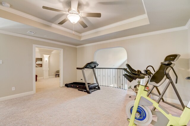 exercise area with light colored carpet, crown molding, and a raised ceiling