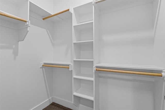 spacious closet featuring carpet flooring