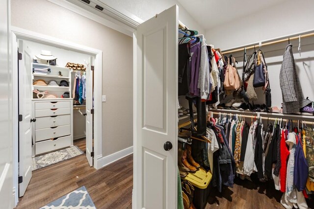 office featuring dark hardwood / wood-style flooring, ceiling fan, and crown molding