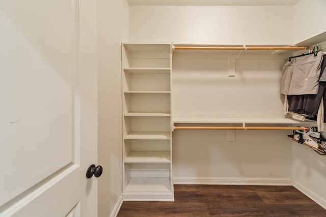 spacious closet with dark wood-type flooring