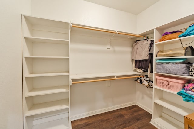 spacious closet featuring dark hardwood / wood-style floors