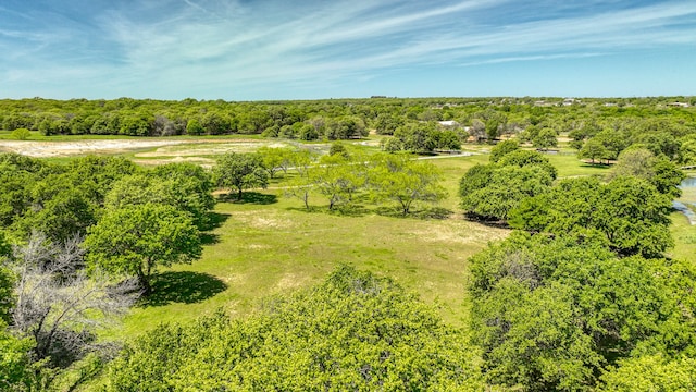 2031 Shadle Rd, Poolville TX, 76487 land for sale