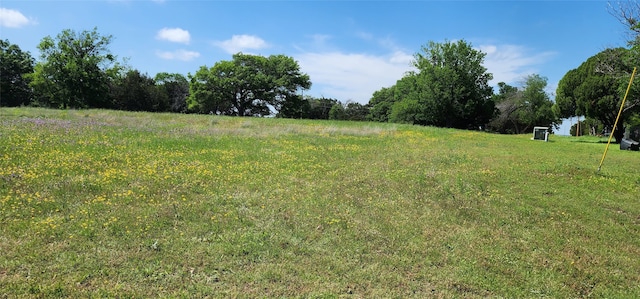 Listing photo 2 for 277 County Road 1526, Morgan TX 76671