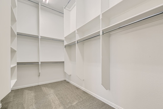 walk in closet with carpet flooring