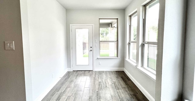 doorway to outside featuring light hardwood / wood-style flooring