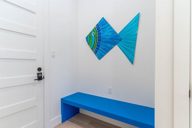 mudroom featuring light wood-type flooring