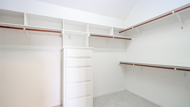 walk in closet featuring carpet