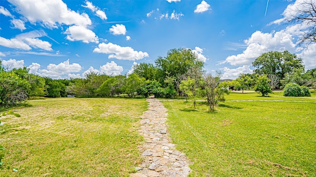 view of yard featuring a rural view