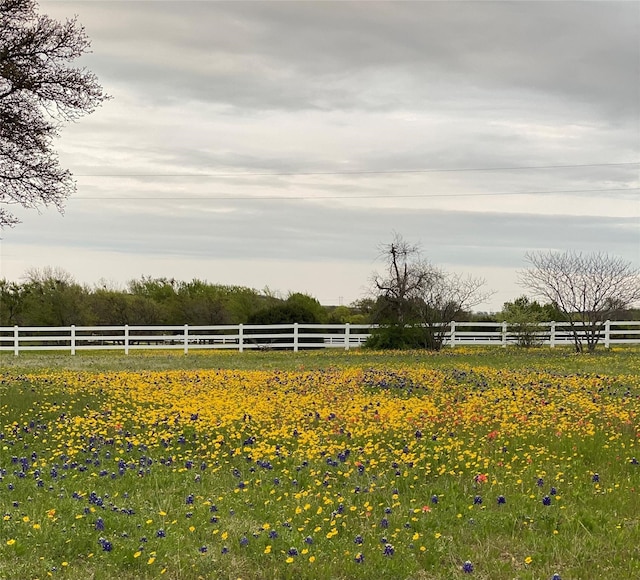 view of yard with a rural view