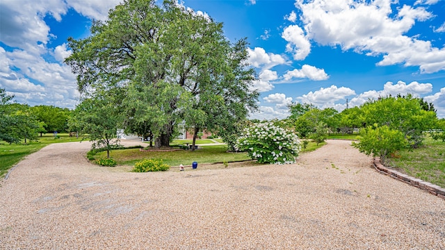 exterior space with a yard