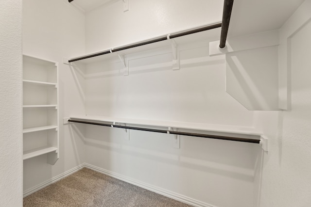 walk in closet featuring carpet floors