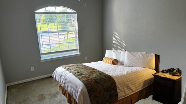 bedroom featuring carpet