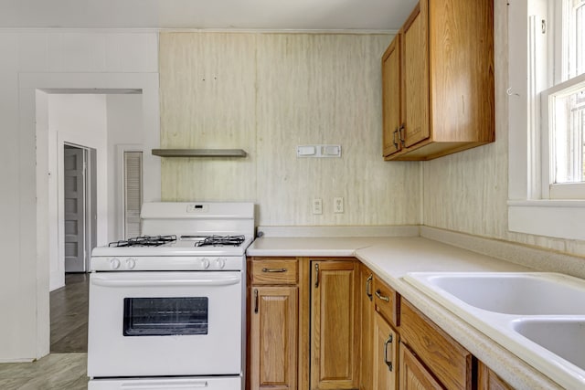 kitchen with light hardwood / wood-style floors, white gas range, and sink