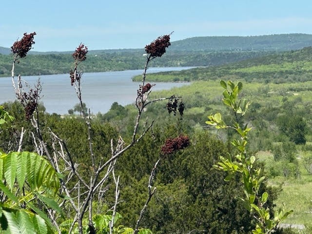 LOT161 N Canyon Wren, Possum Kingdom Lake TX, 76449 land for sale