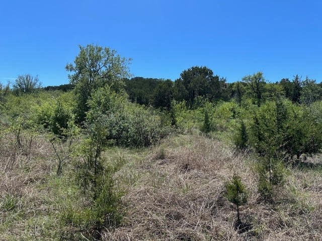 Listing photo 3 for LOT161 N Canyon Wren, Possum Kingdom Lake TX 76449