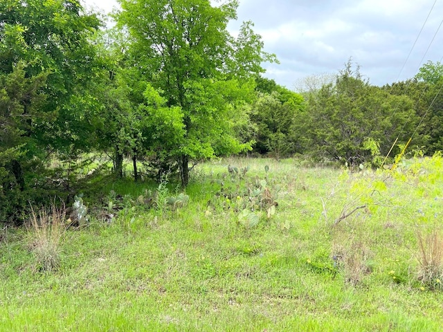 13007 Crestwood Dr, Whitney TX, 76692 land for sale