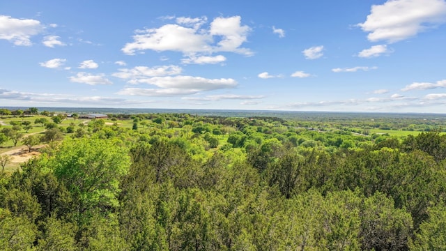 Listing photo 2 for TBD Old Dennis Rd, Weatherford TX 76087