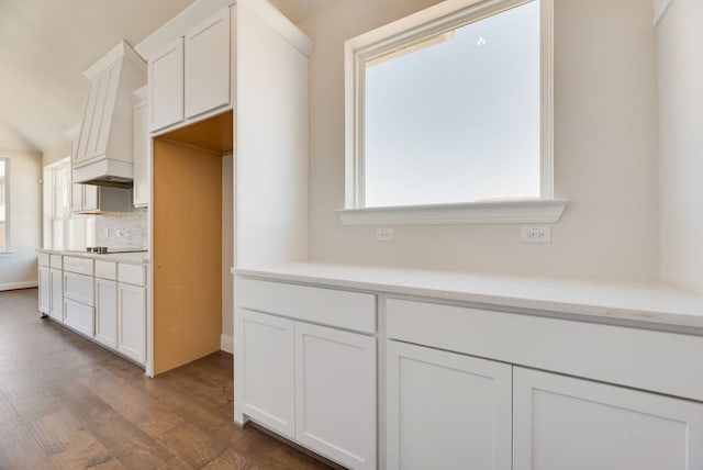 kitchen with tasteful backsplash, plenty of natural light, white cabinets, and dark wood-type flooring