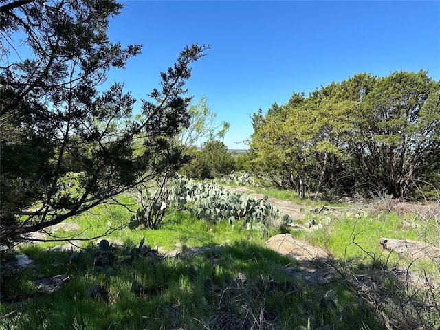 Listing photo 2 for LOT131 Turnberry Loop, Graford TX 76449