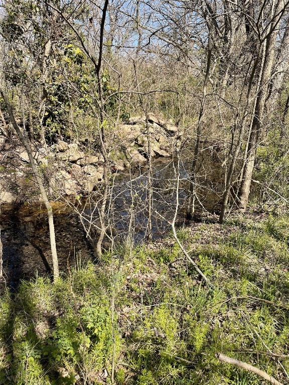 view of mother earth's splendor featuring a water view