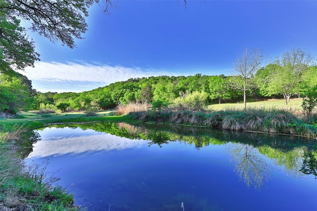 view of property view of water